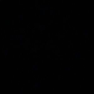 Meet your Posher, Sharlin